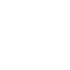 icon planes